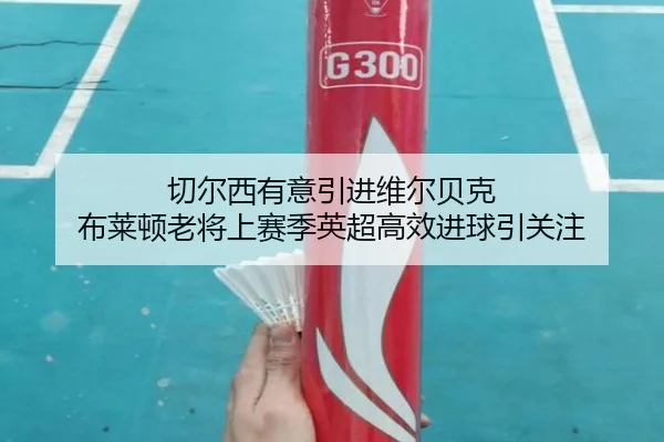 切尔西有意引进维尔贝克 布莱顿老将上赛季英超高效进球引关注